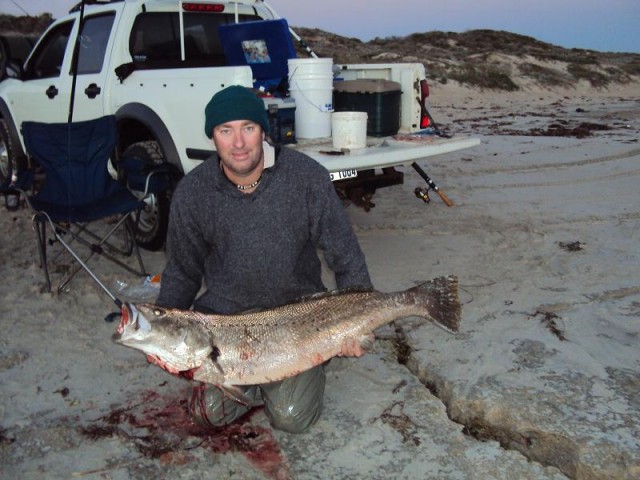 Two Mulloway, Two trips